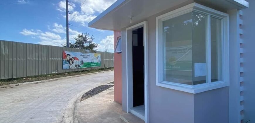 2 Storey Townhouse – Richwood Homes Bohol Dos