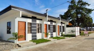 Hazel Unit- Casa Nueva